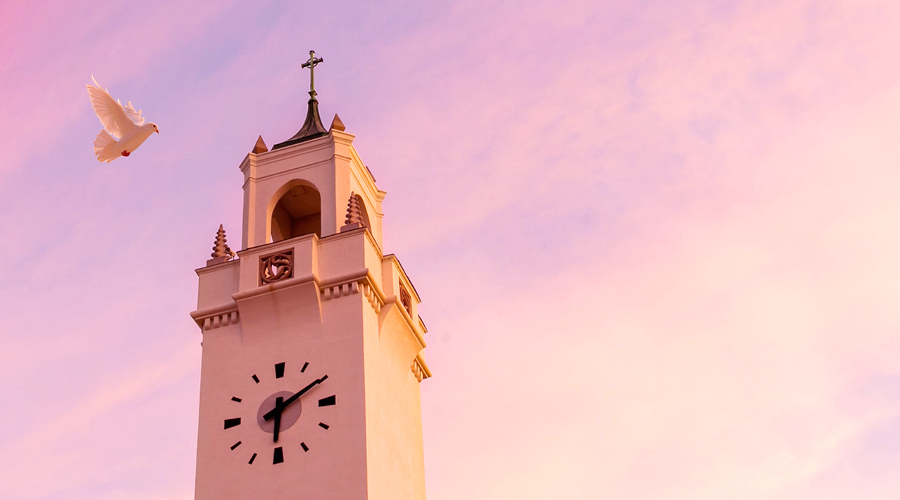 A dove flies near LMU Tower against pink sky with clouds